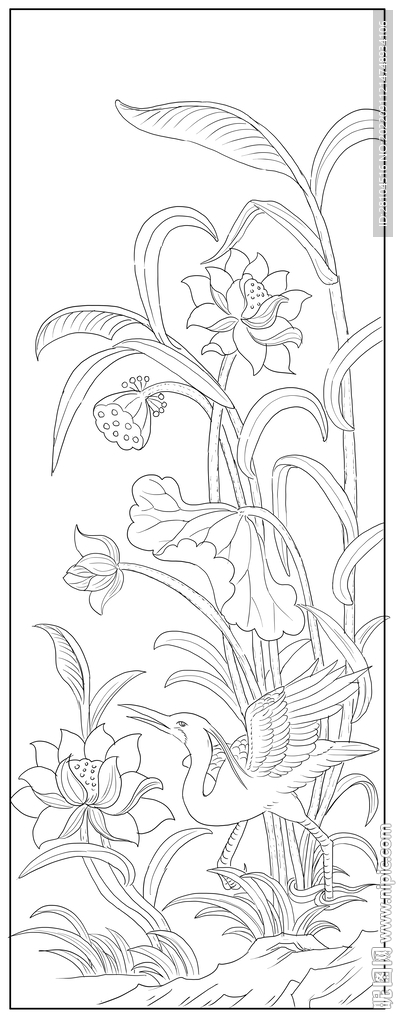 荷花