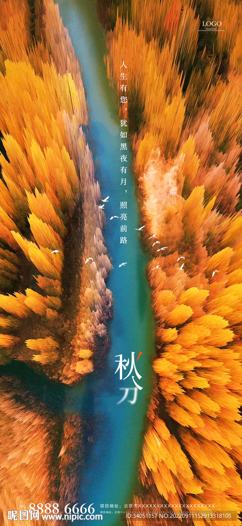 秋分