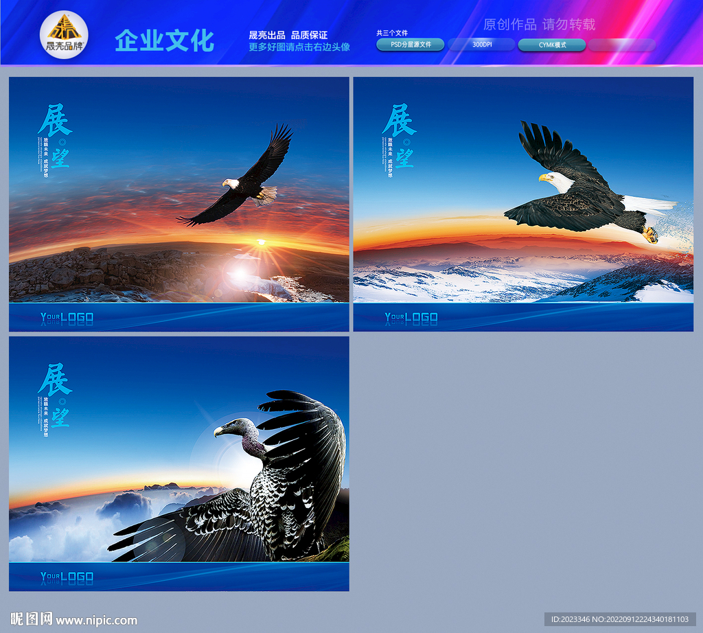 鹰