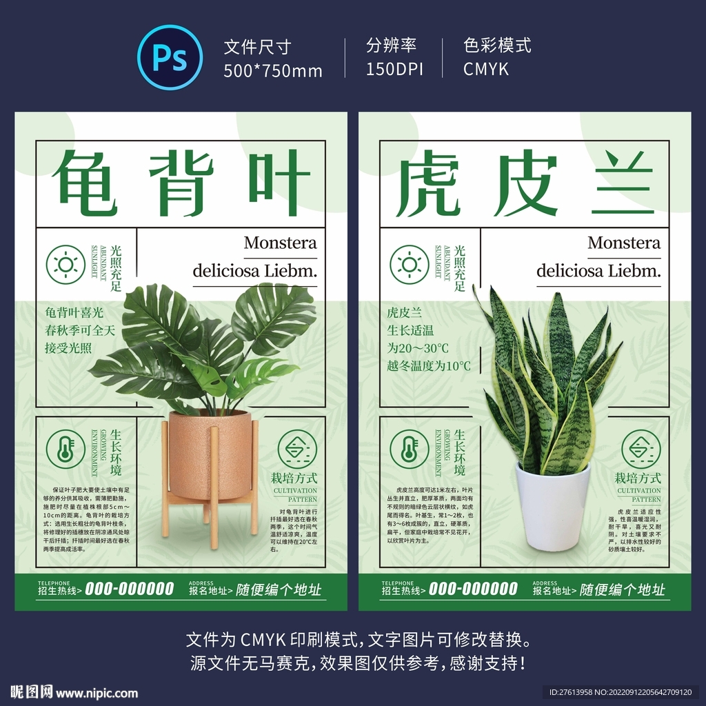 盆栽绿植海报