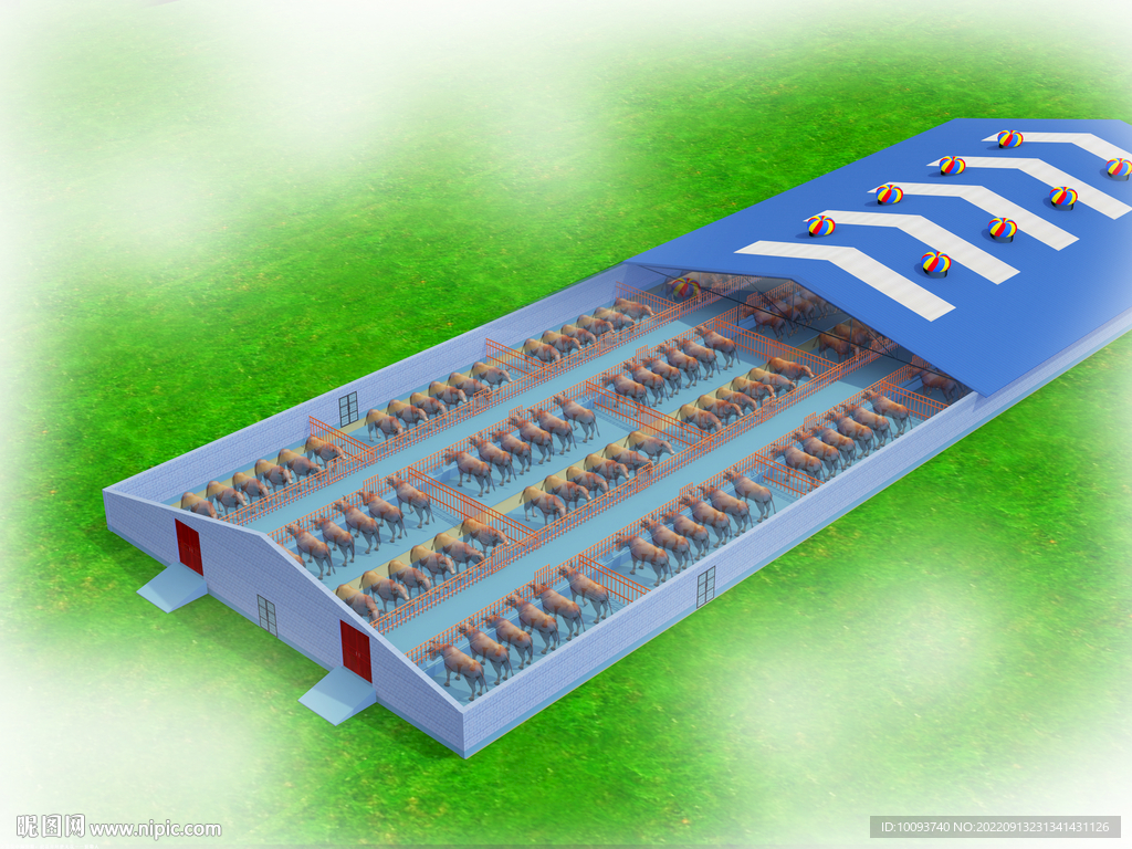50头牛牛舍建造图图片