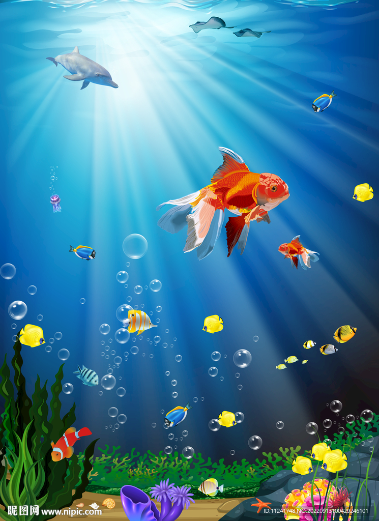 海底生物