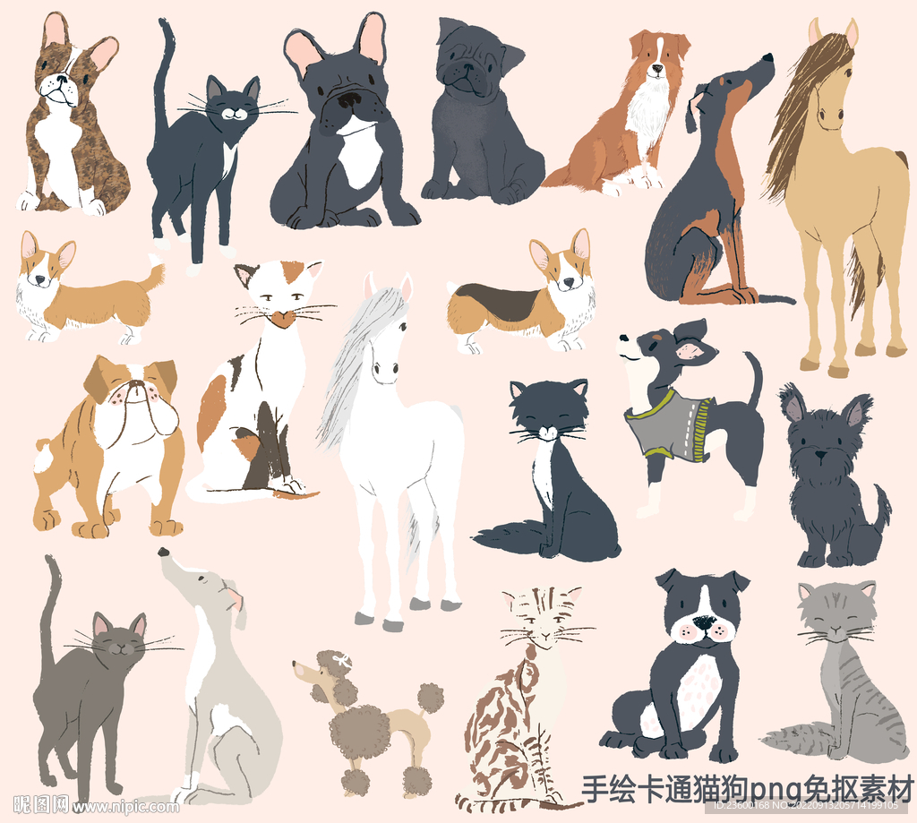 动物 插图 猫 狗-金印客素材库-免费图片、素材、背景下载
