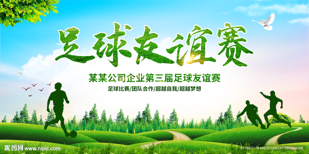足球友谊赛