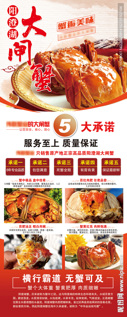 阳澄湖大闸蟹易拉宝