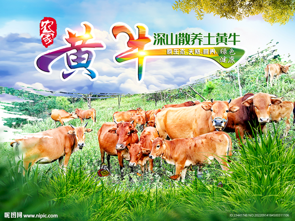 黄牛广告