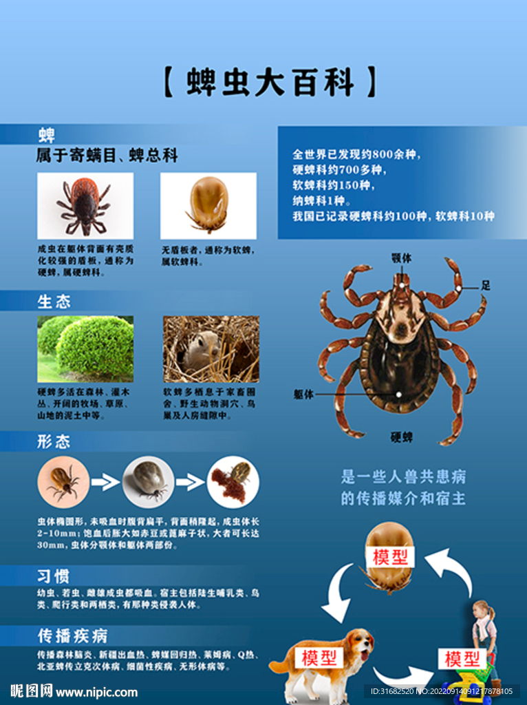蜱虫大百科 半景画 立体画