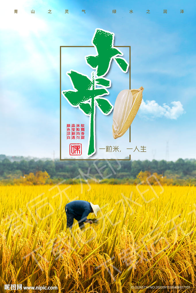 稻田