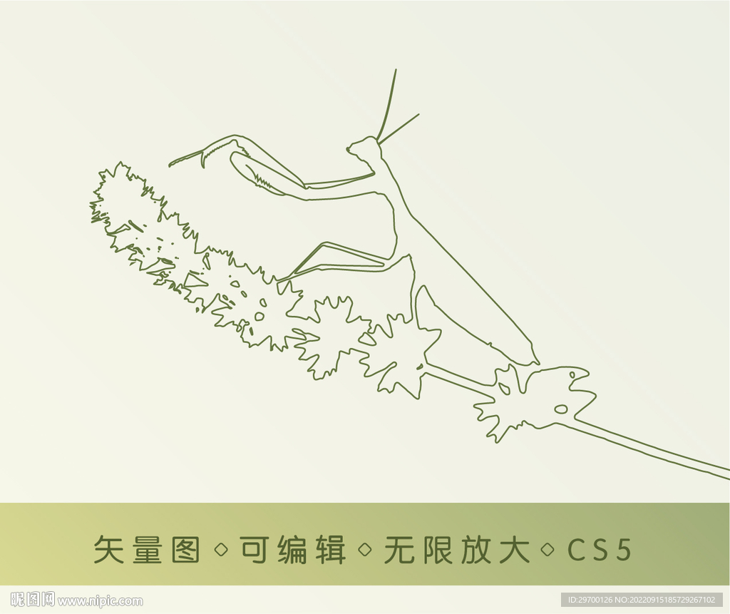 螳螂