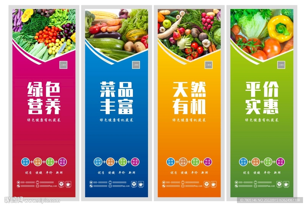 蔬菜挂图