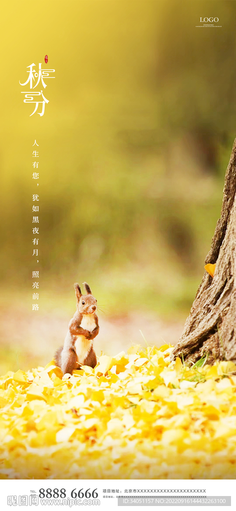 秋分