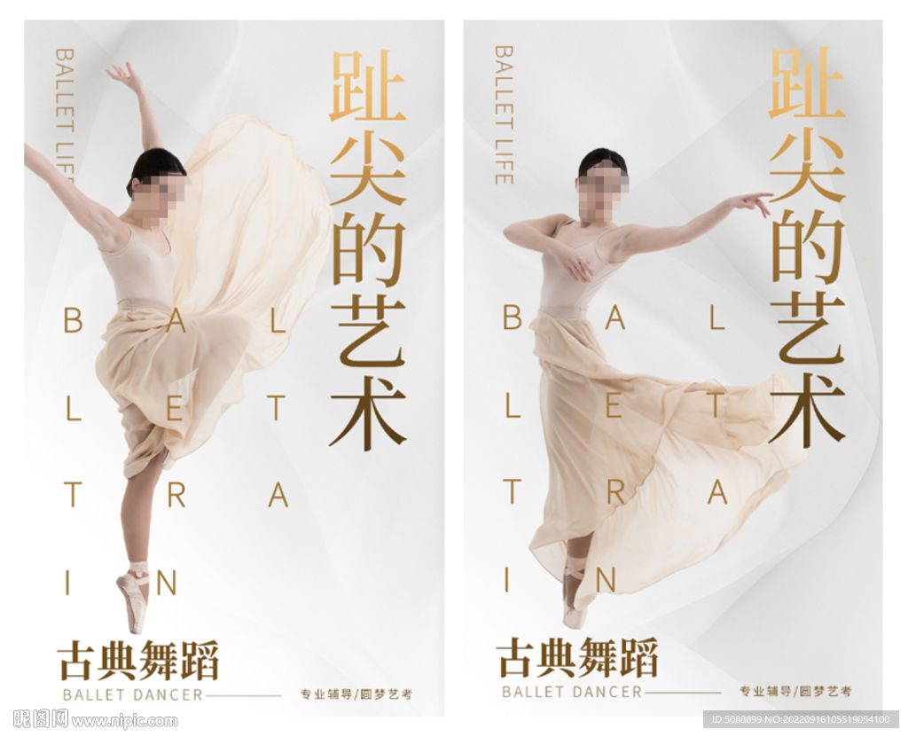 民族舞蹈 芭蕾舞培训挂画