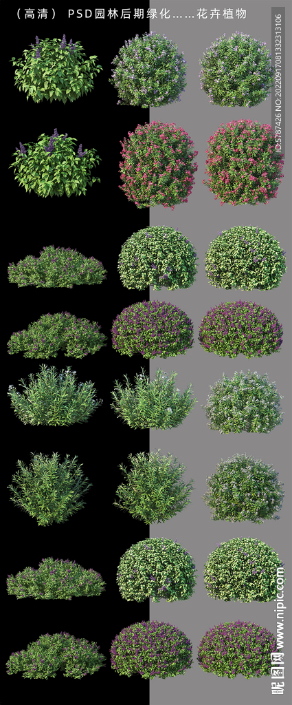 园林绿化植物