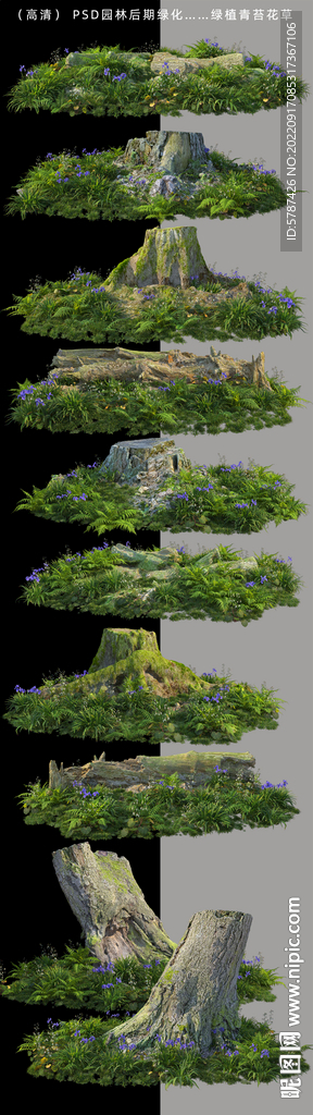 青苔枯木 