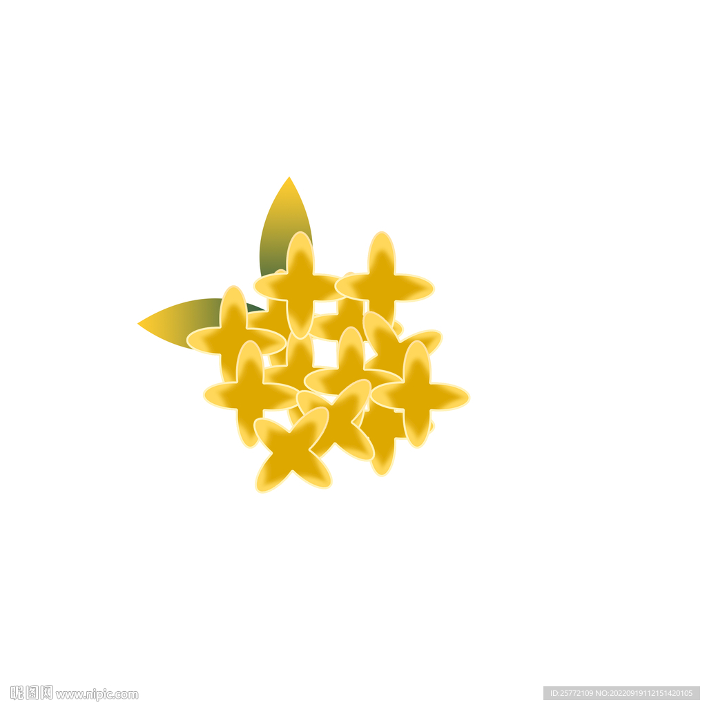 手绘桂花