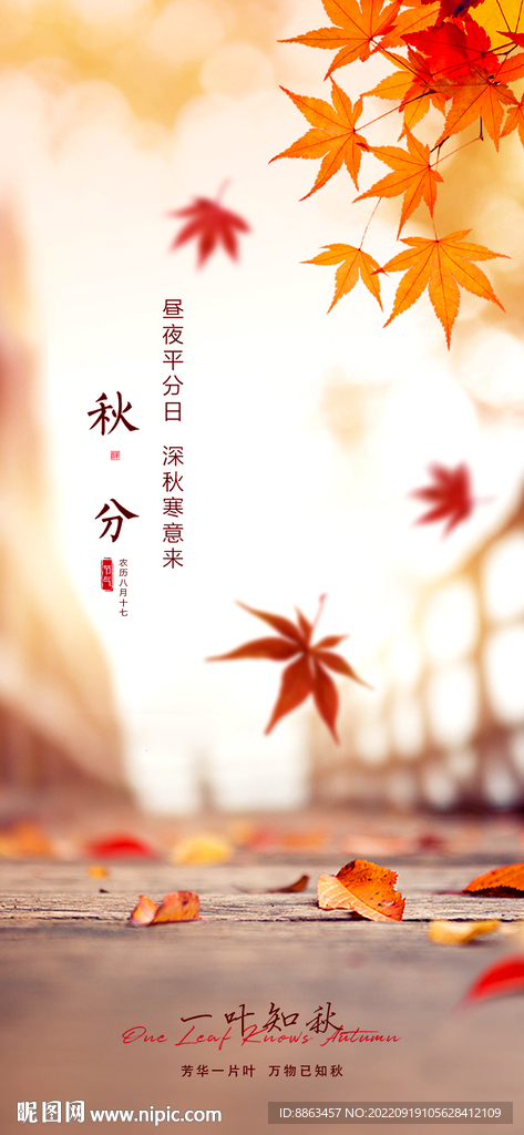 秋分节气海报