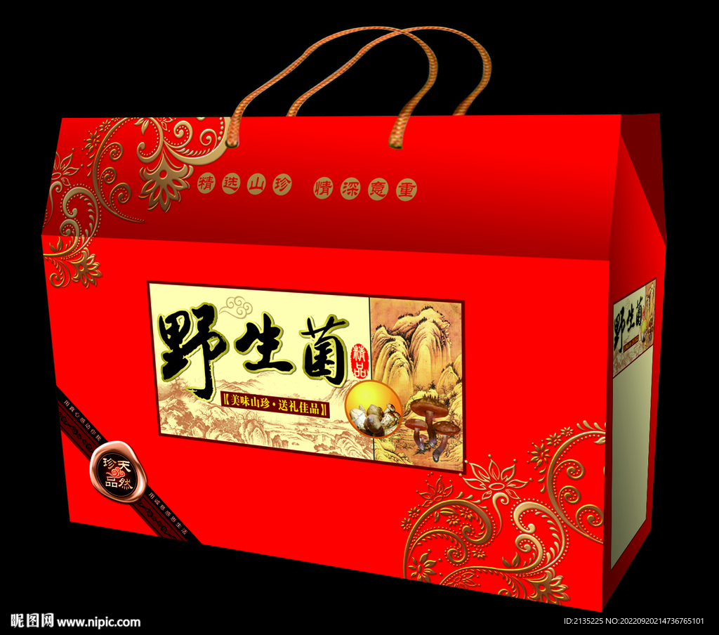 野生菌箱展开图