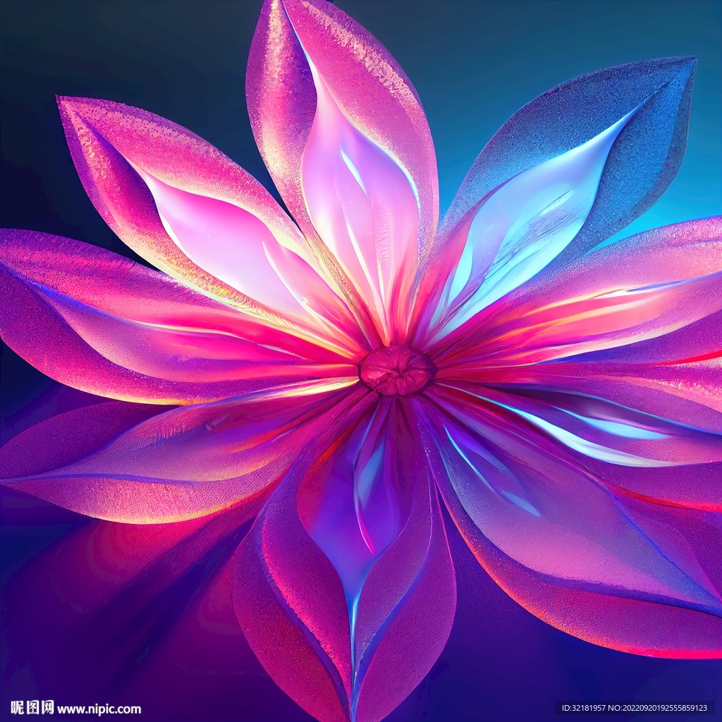 五颜六色的花朵