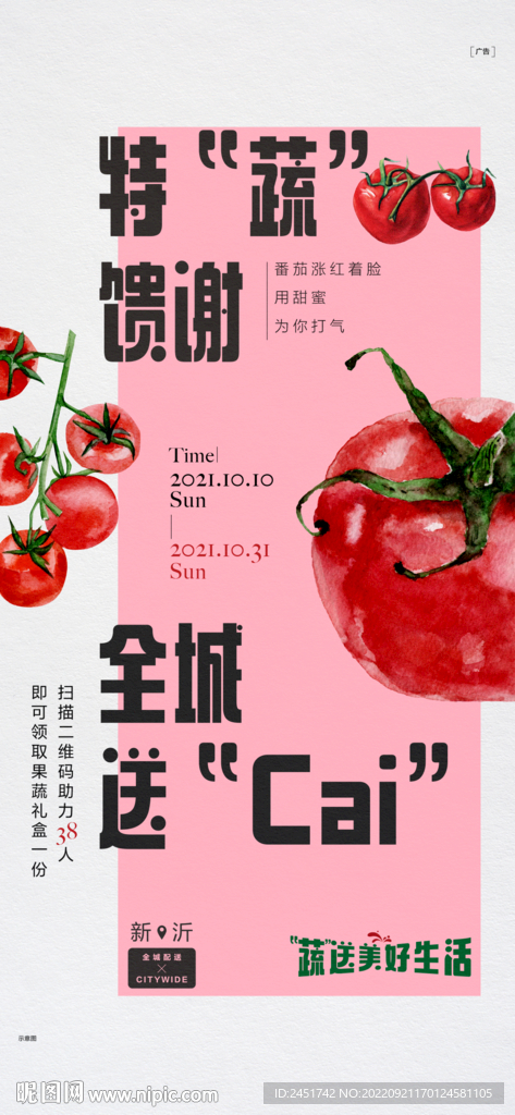 苏北区域碧桂园大都会蔬菜活动