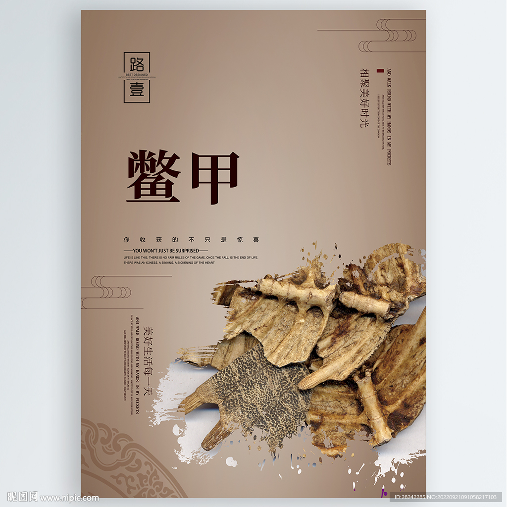 鳖甲