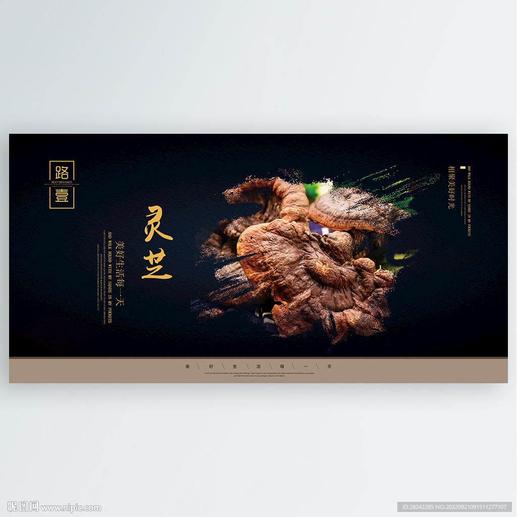 灵芝