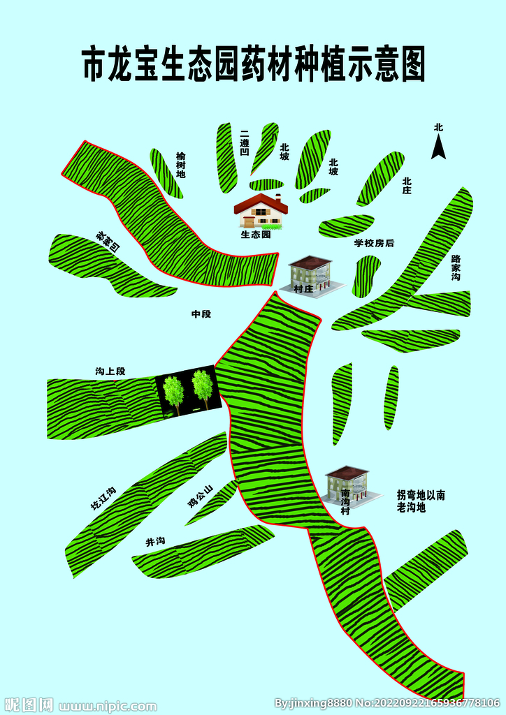 龙宝生态园药材种植示意图