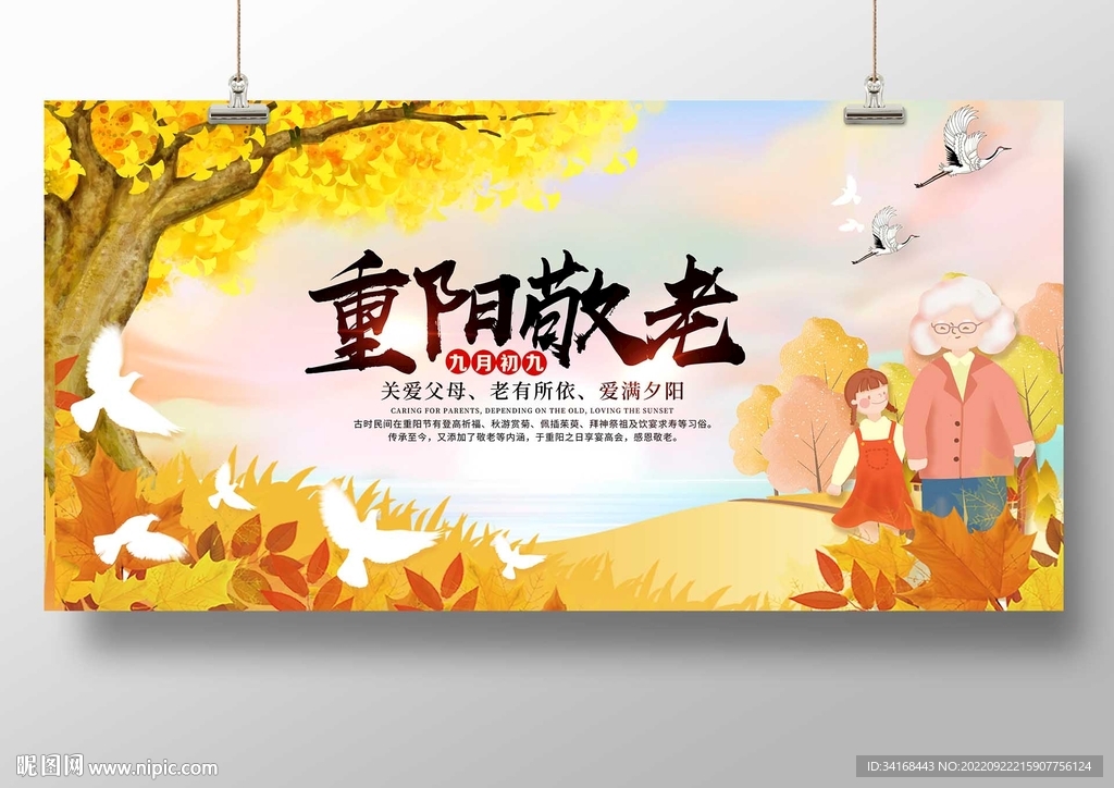 重阳节敬老节