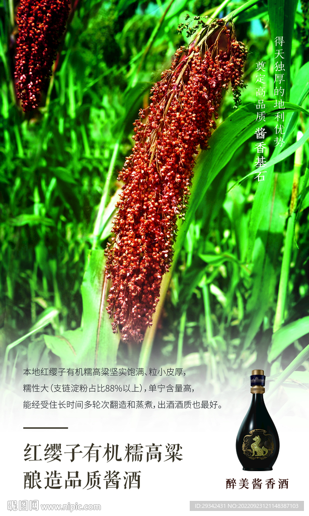 酱香浓香白酒红缨子高粱户外海报