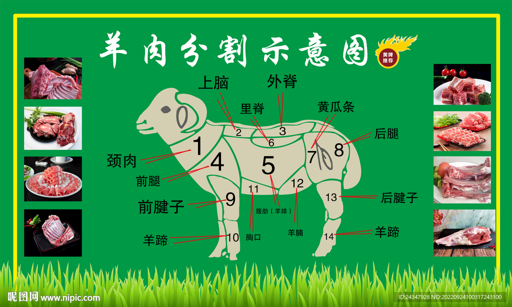 羊肉分割图