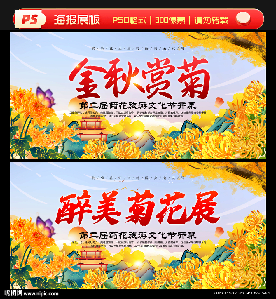 菊花展