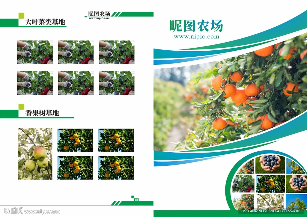 绿色画册 封面  内页  
