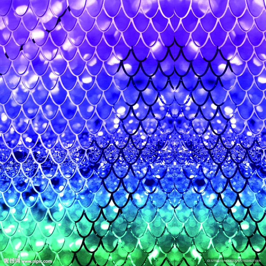 鱼鳞 蓝色