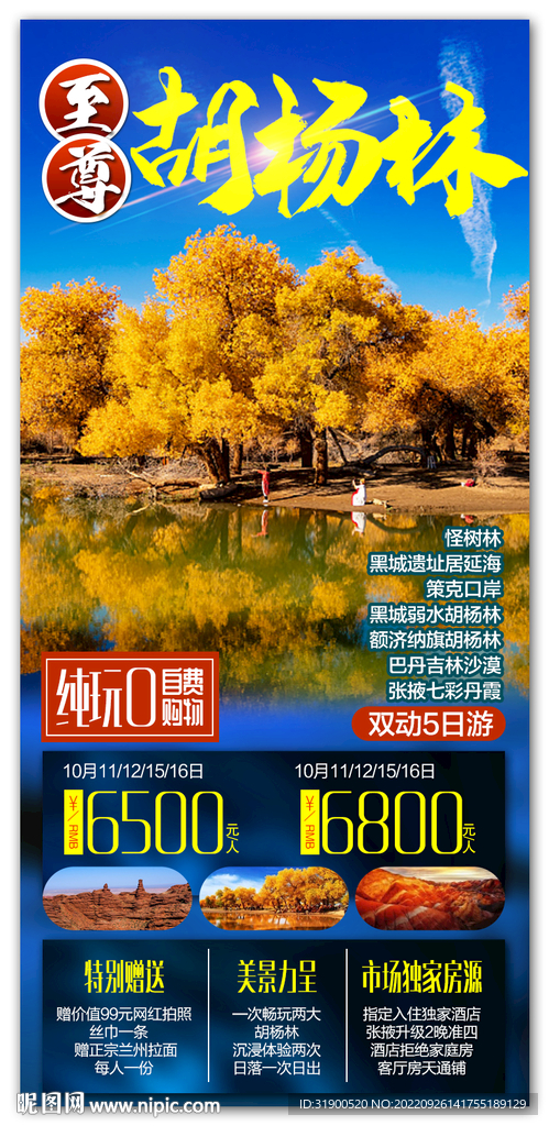 胡杨林