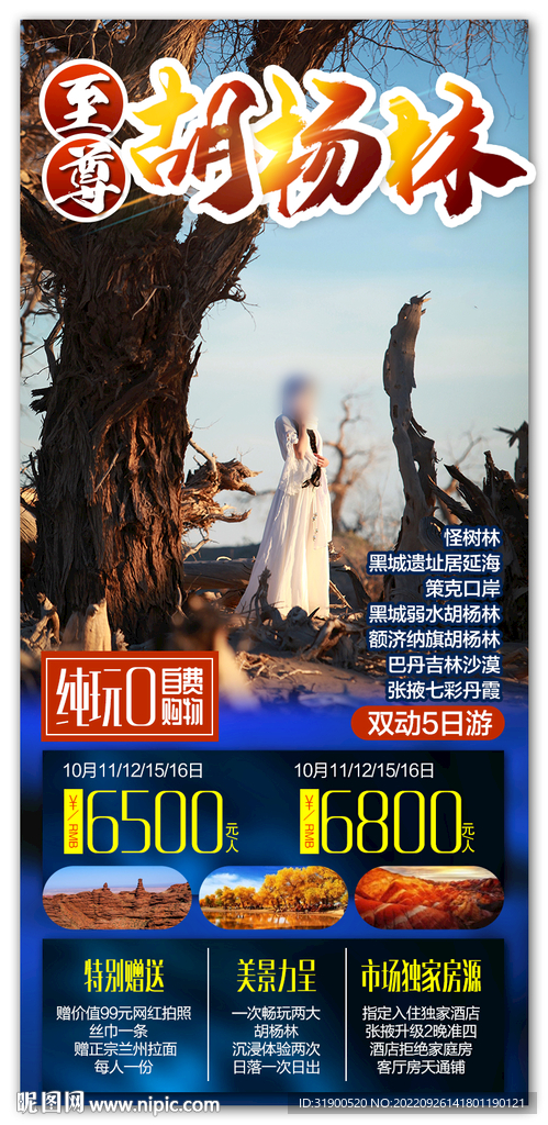 胡杨林