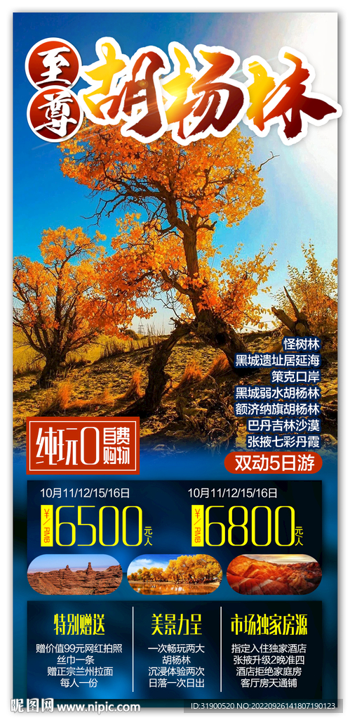 胡杨林