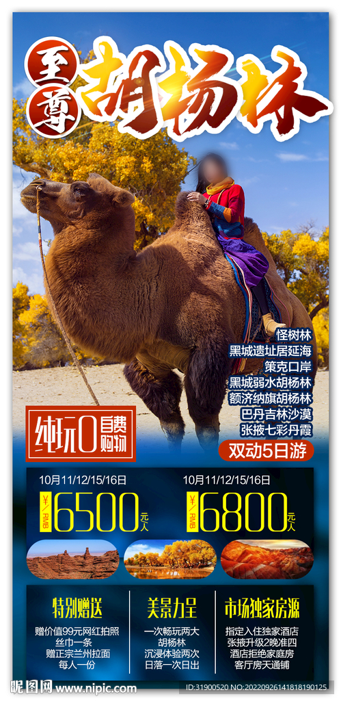 胡杨林