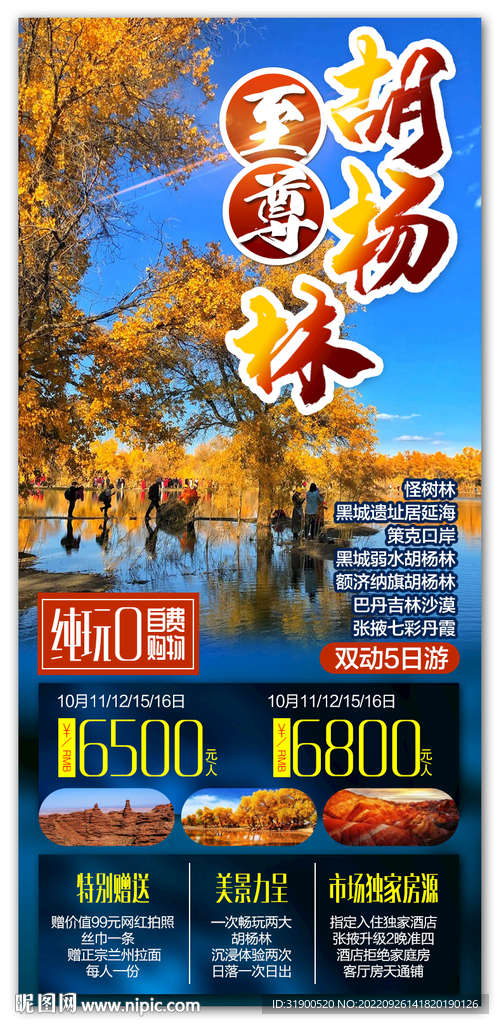 胡杨林