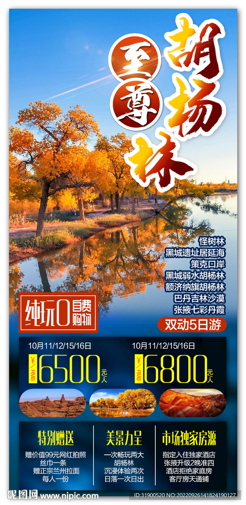胡杨林
