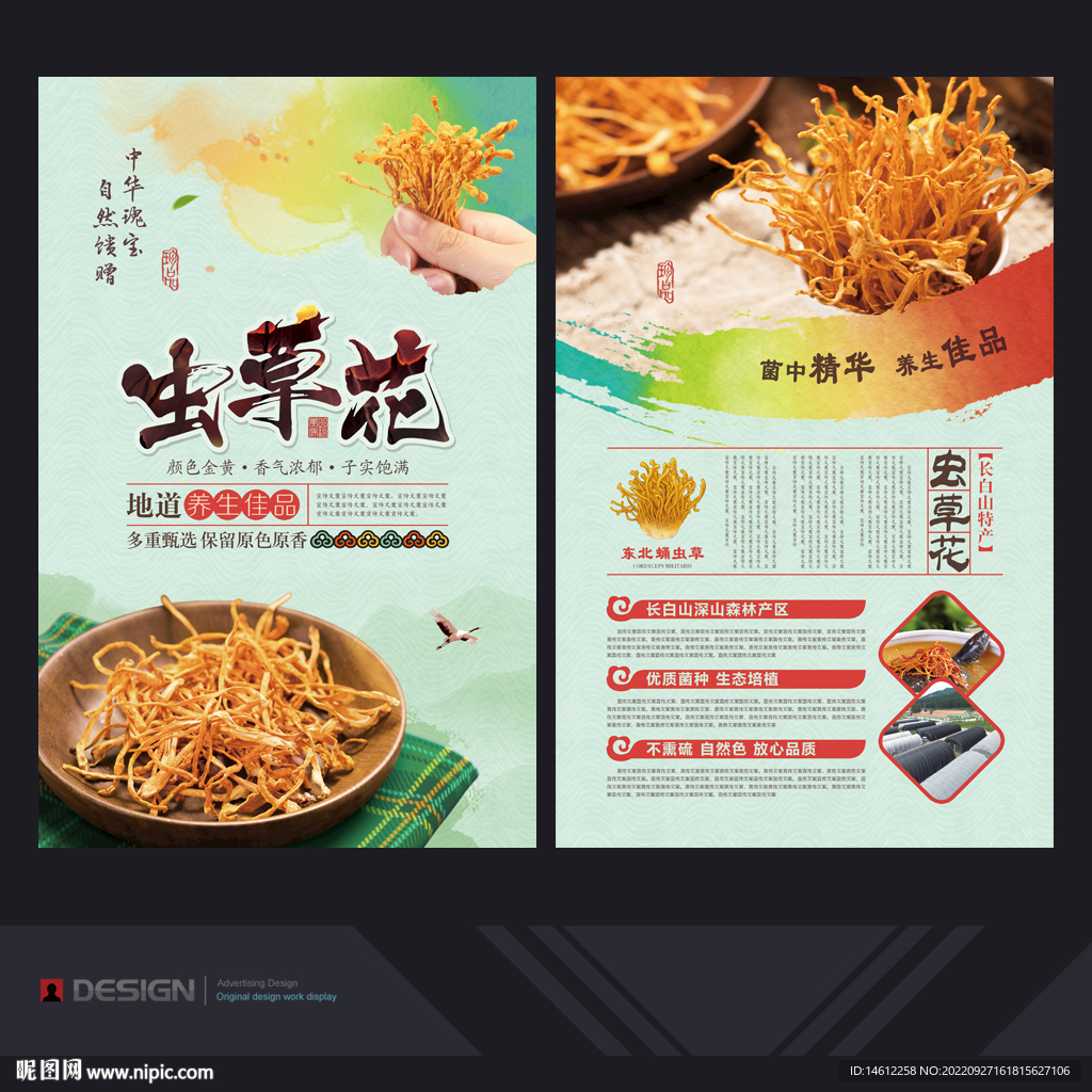 虫草花