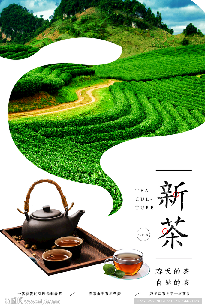 新茶上市