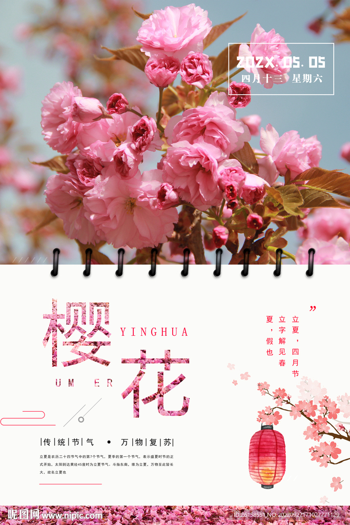 樱花