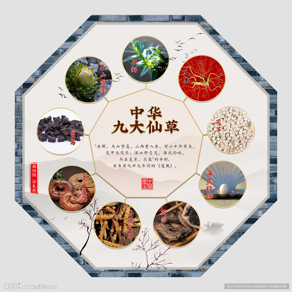 九大仙草
