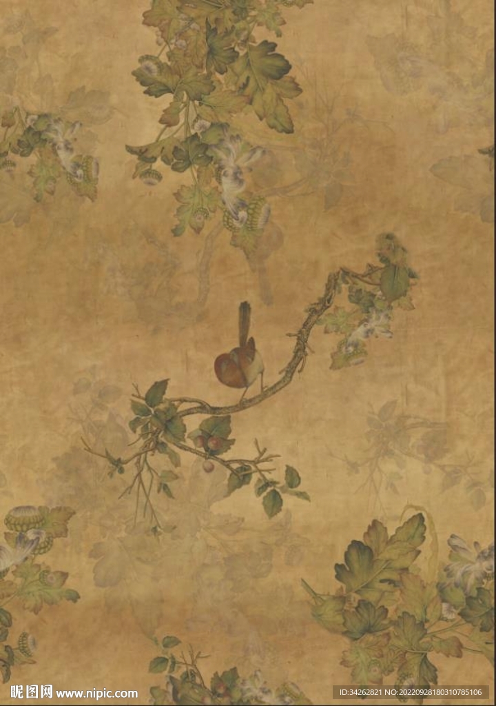 花鸟