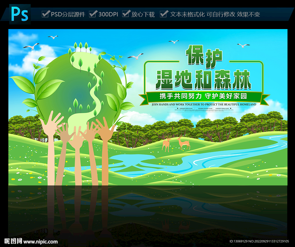 保护湿地和森林