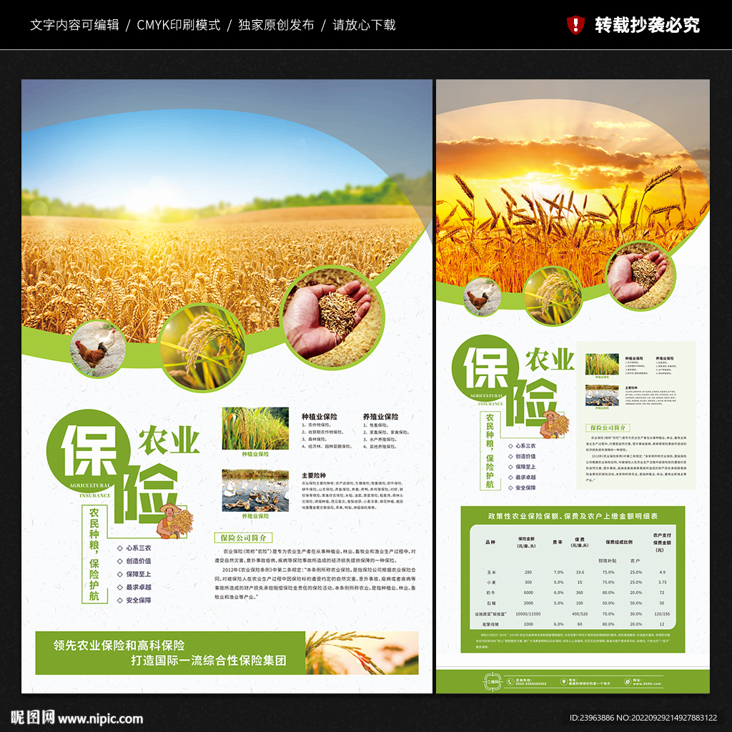 农业保险