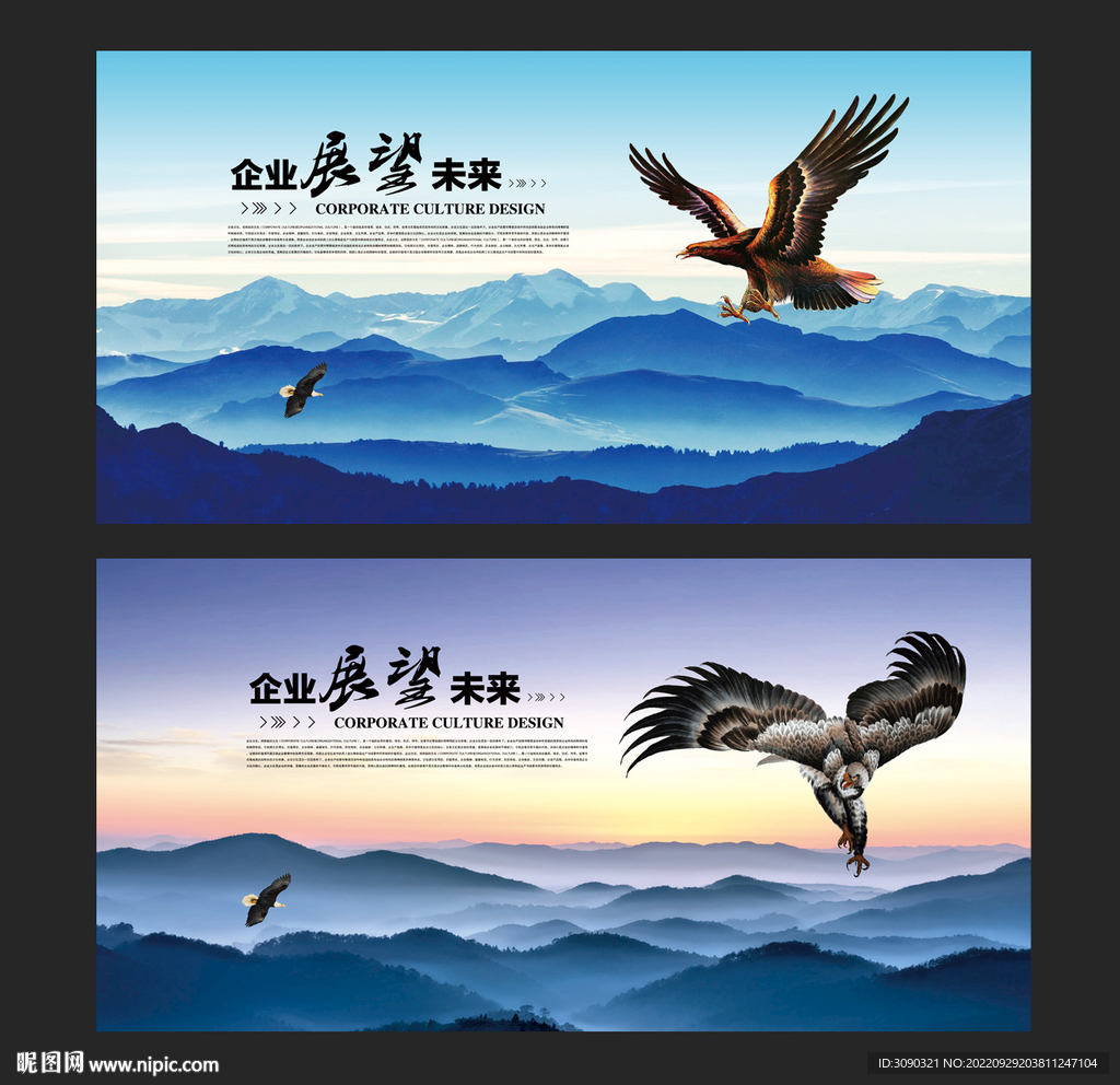 鹰