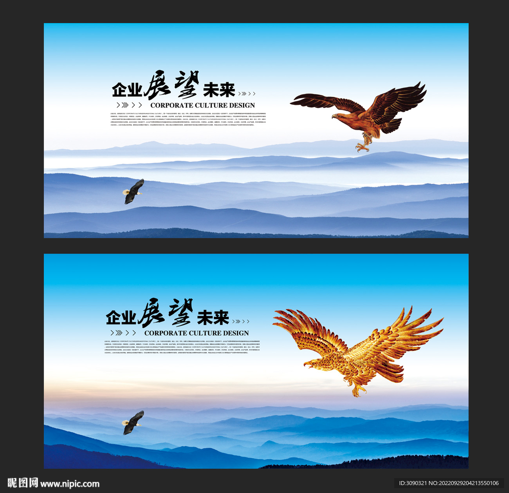 鹰