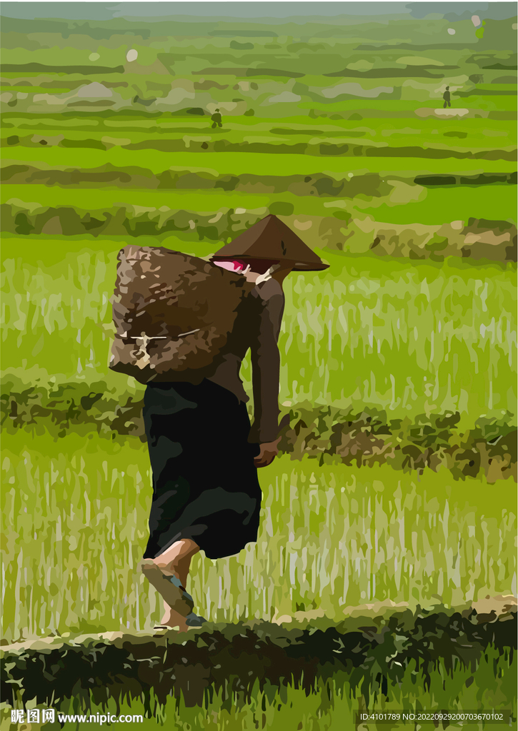 稻田