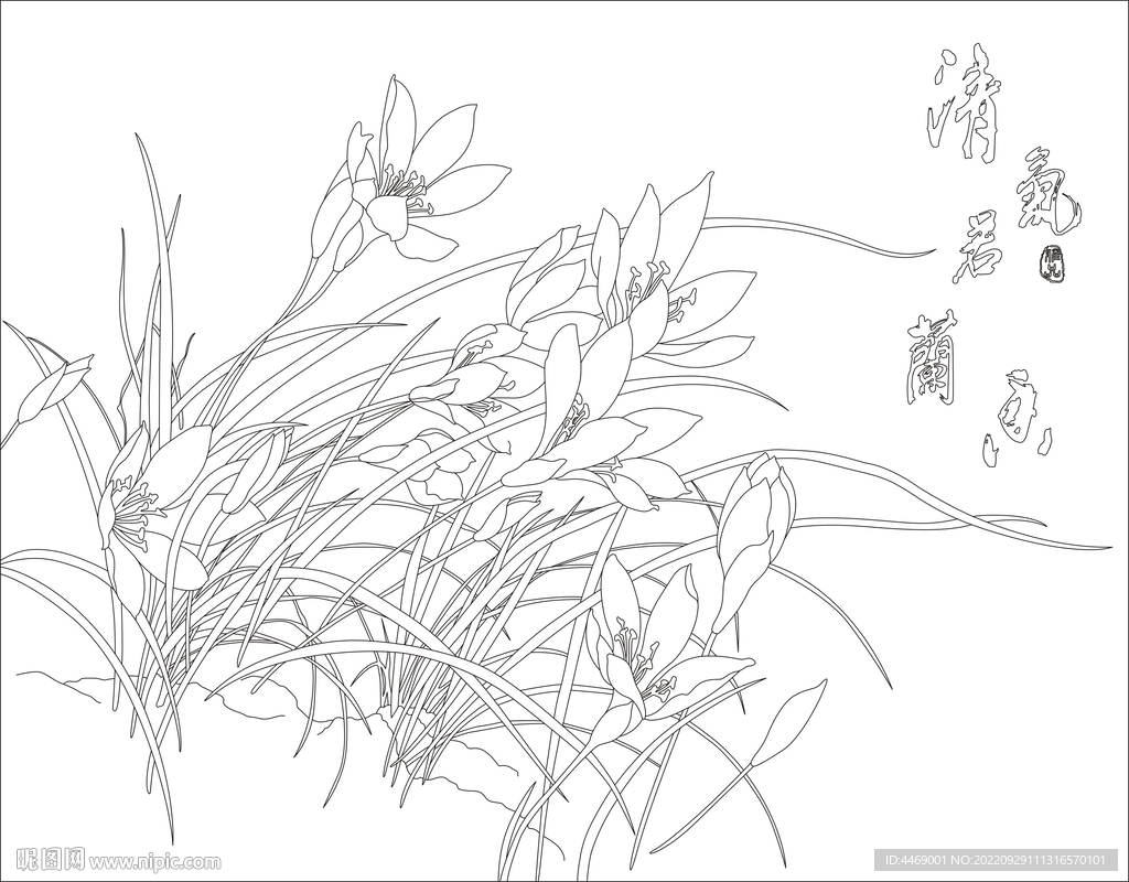 兰花背景墙