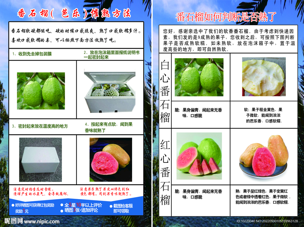 番石榴